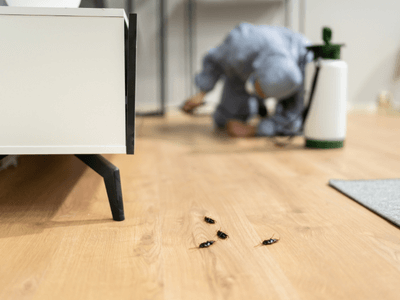 About HOA Services Allen Park - hoa services experts in Allen Park